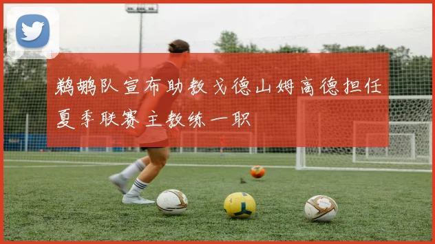 鹈鹕队宣布助教戈德山姆高德担任夏季联赛主教练一职