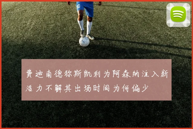 费迪南德称斯凯利为阿森纳注入新活力不解其出场时间为何偏少